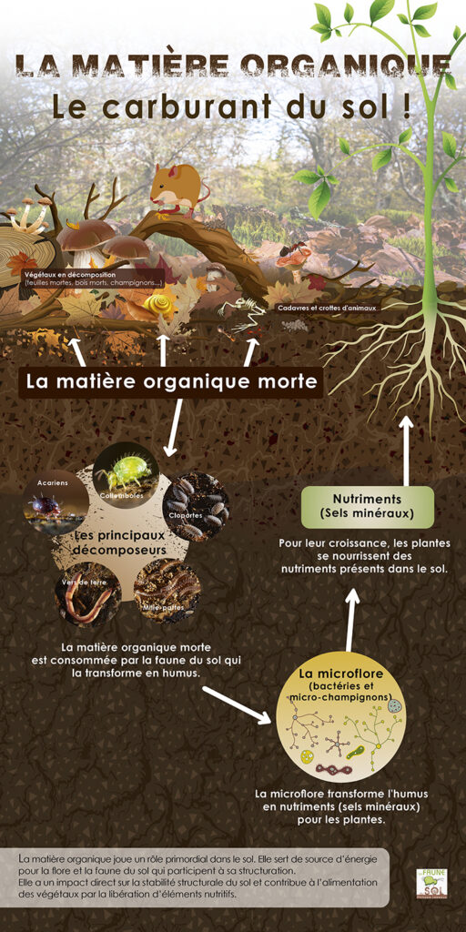 Panneau pédagogique Expo La Vie dans le Sol - Matière organique